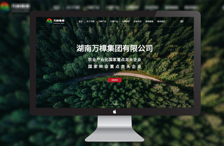營銷網站案例-湖南萬樟集團